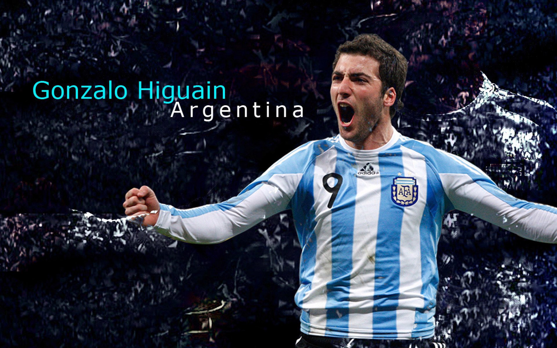 克罗地亚马术协会举办马匹护理培训班，提高骑手护理技能。